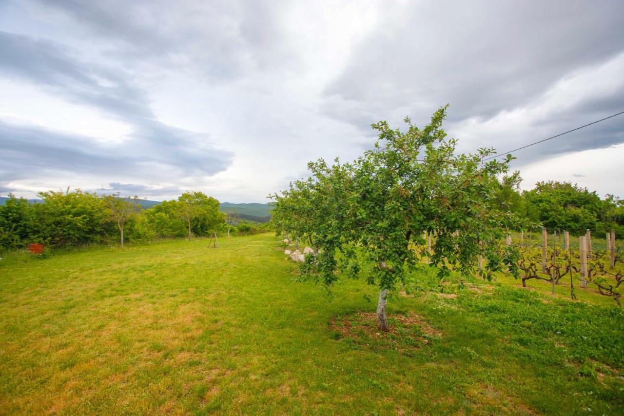 Villa Casa Di Oliva-House With Heated Pool & Jacuzzi In Trilj, Croatia Exterior foto